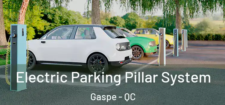  Electric Parking Pillar System Gaspe - QC