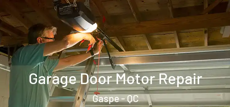  Garage Door Motor Repair Gaspe - QC