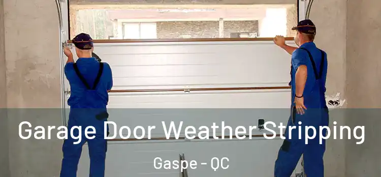  Garage Door Weather Stripping Gaspe - QC