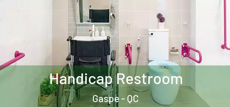  Handicap Restroom Gaspe - QC